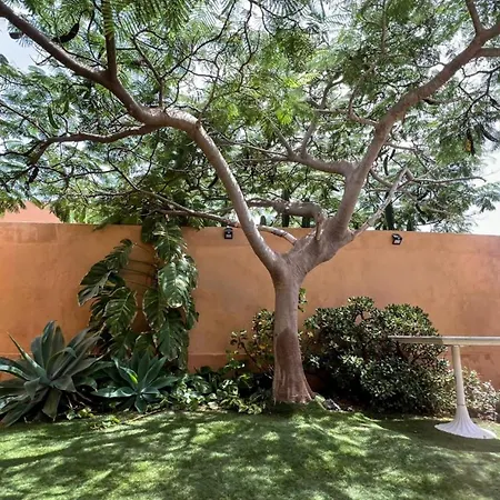 Holiday home Orquidea